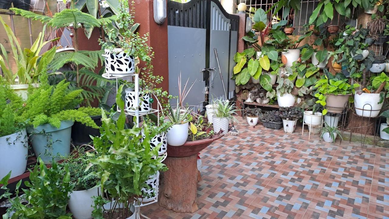 Dalindas Homestay Puerto Princesa Luaran gambar